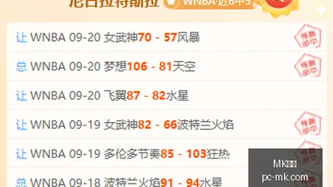 2030年住宅劏房整治指南：何永贤解析解决之道